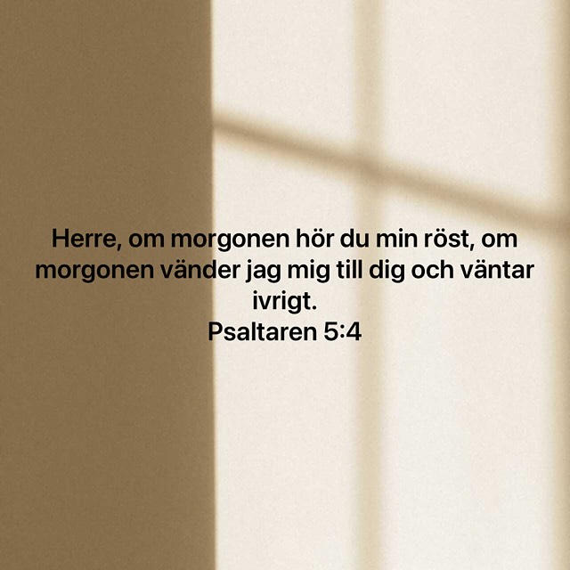 ☀️🍦SOMMARPAUS – HOUSE
Hej alla!
Vi behöver tyvärr ta en kort paus för Falukyrkan House eftersom flera av ledarna är bortresta under en period. Men vi är snart tillbaka!😎
🗓 Den 19 juli drar vi igång igen med House Sommaredition – där vi ses, hänger och hittar på något kul beroende på väder. Mer info kommer. ‼️Och efter sommaren kör vi en riktig uppstartsfest – så håll utkik!
❤️Under tiden vill vi påminna dig:
Använd den extra tiden till att söka Jesus. Fortsätt läsa i era ”Brinnande för Gud”-böcker, prata med Gud och låt hans ord få tala till dig.
Vi ses snart!🙌