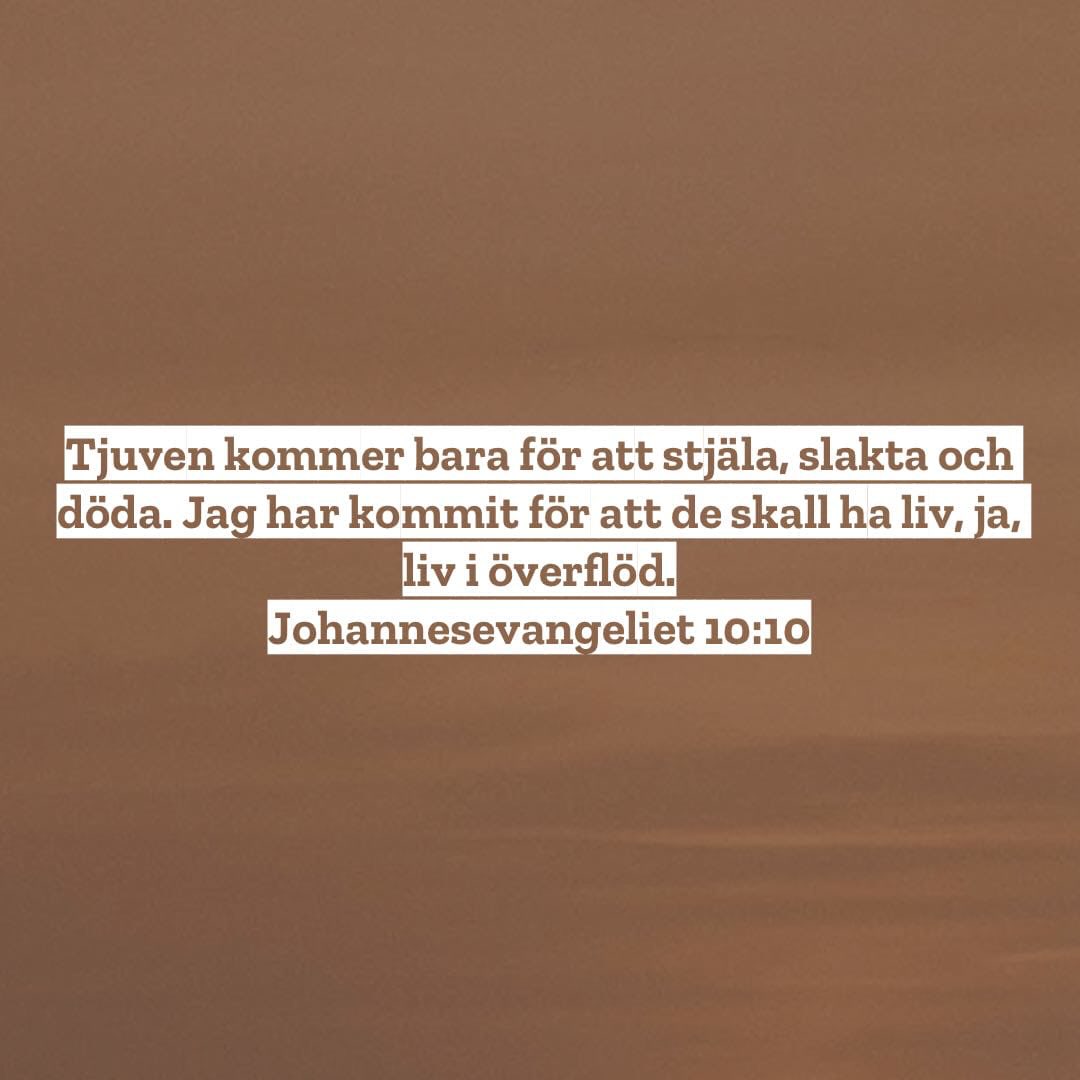 Jesus har kommit för att ge oss liv i överflöd!
Besluta dig för att ta emot det livet idag! 🙏